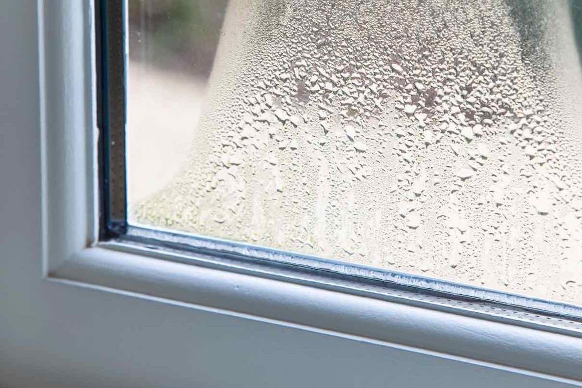 Misty Windows